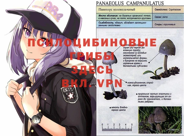 гашиш Вязьма