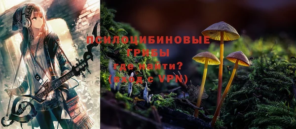 стафф Горняк