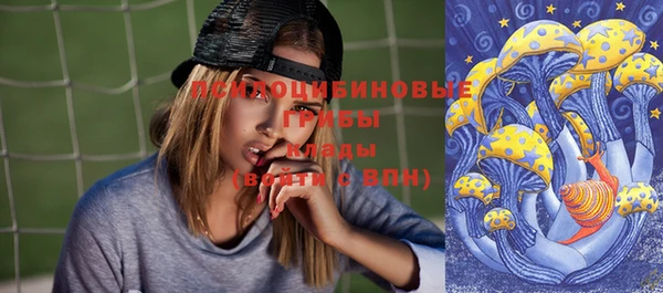 стафф Горняк
