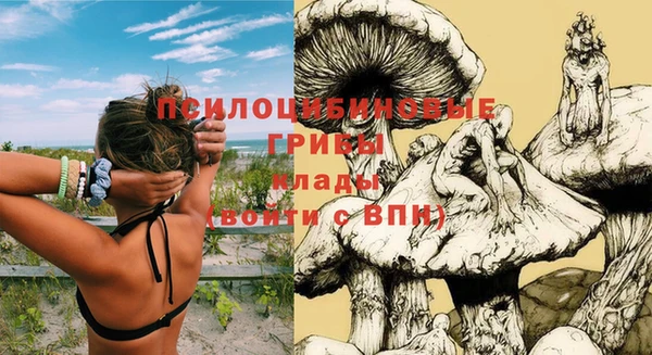 герыч Вяземский