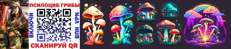 Галлюциногенные грибы Psilocybine cubensis  ОМГ ОМГ онион  Юрга 